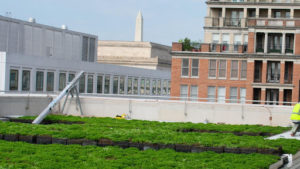 Forrester Construction DC Courts Green Roof Building Materials
